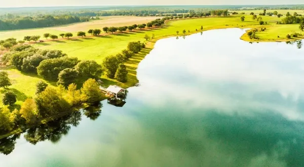 a view of a lake with a flower garden