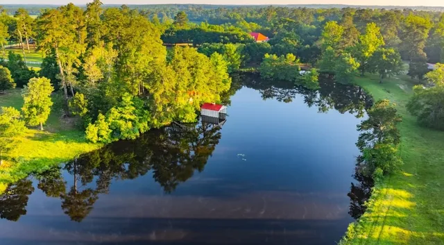 a view of a garden with an ocean