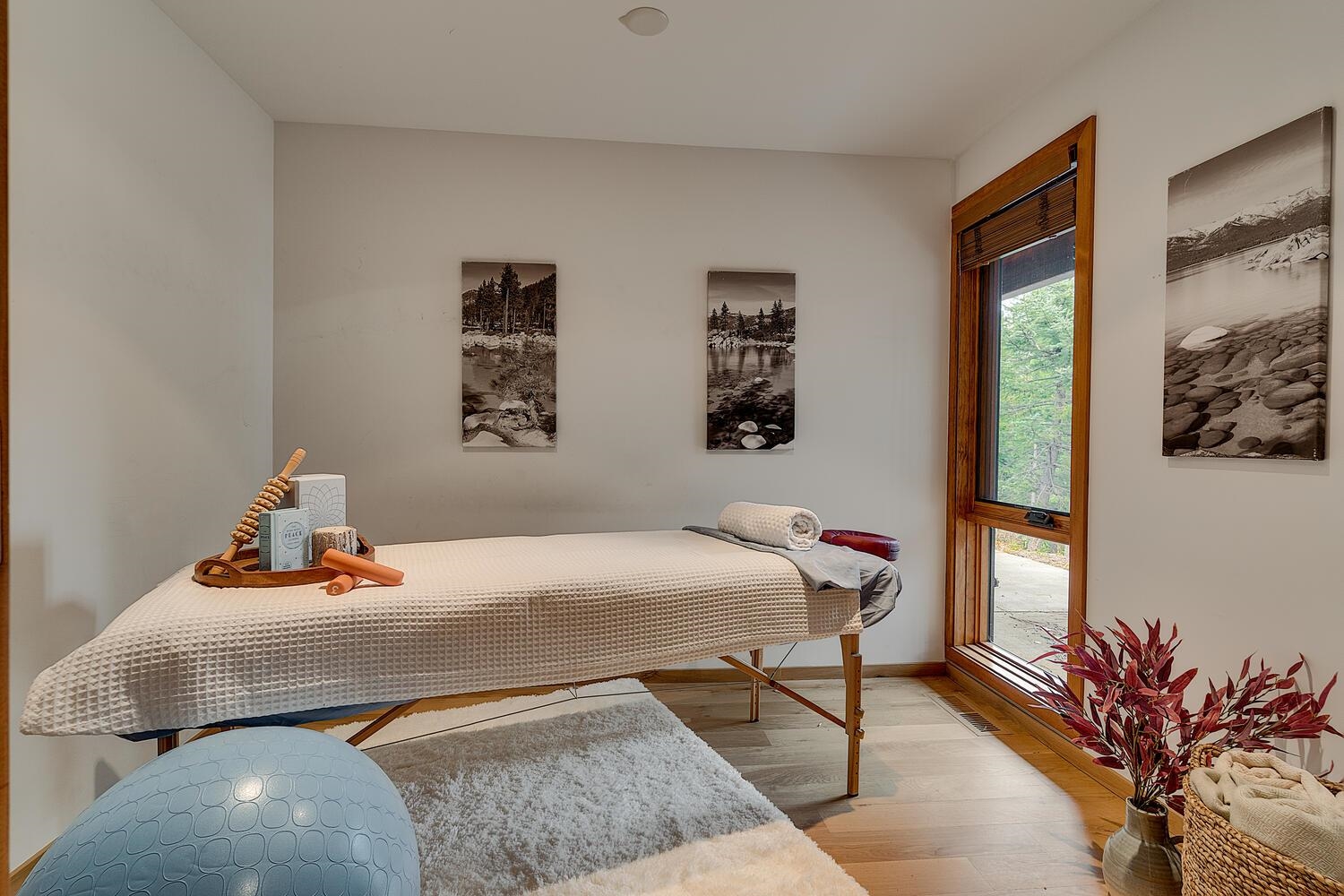 1620 Lanny Lane Olympic Valley, CA 96146 - Photo 22 of 28