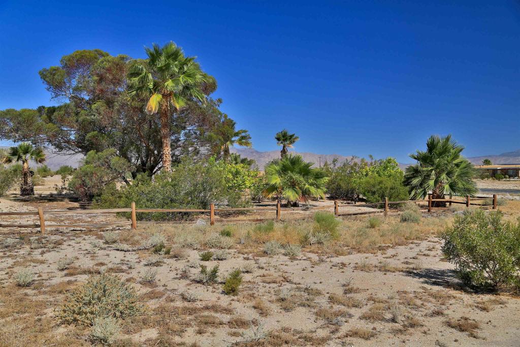 2772 Stinson Road Borrego Springs, CA 92004 - Photo 7 of 13 a backyard of a house with lots of green space