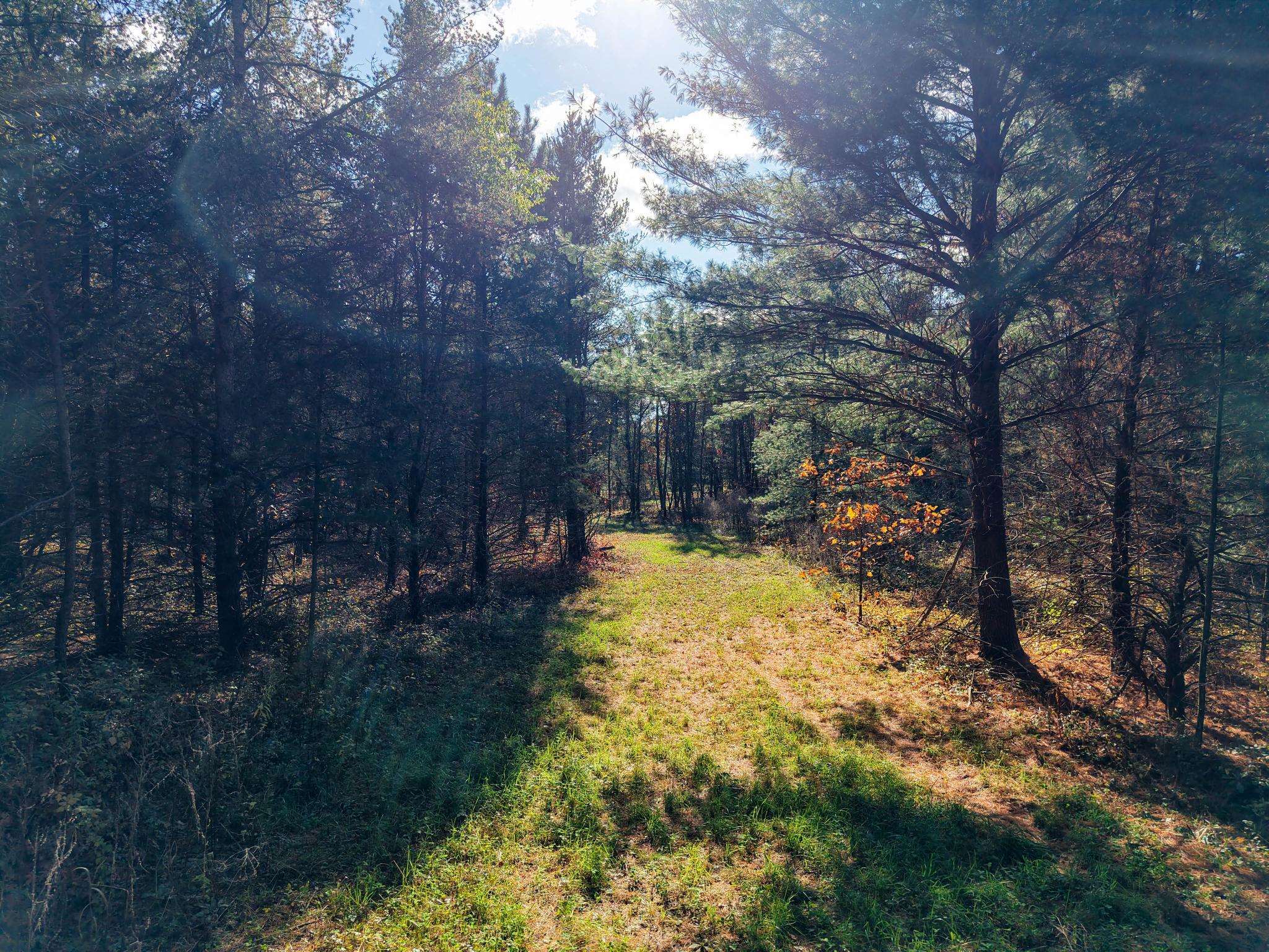 0 US Highway 14 Spring Green, WI 53588 - Photo 11 of 25