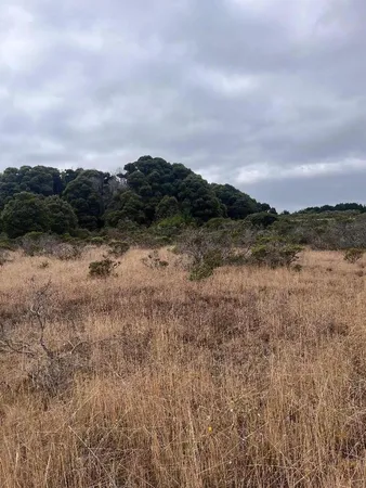 $45,000 | 110 Dolores Avenue, Half Moon Bay, CA 94019