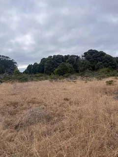 $45,000 | 110 Dolores Avenue, Half Moon Bay, CA 94019