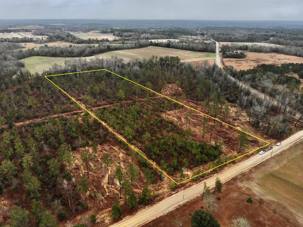 22-acres Donzell Road Cottonwood, AL 36320 - Photo 4 of 15