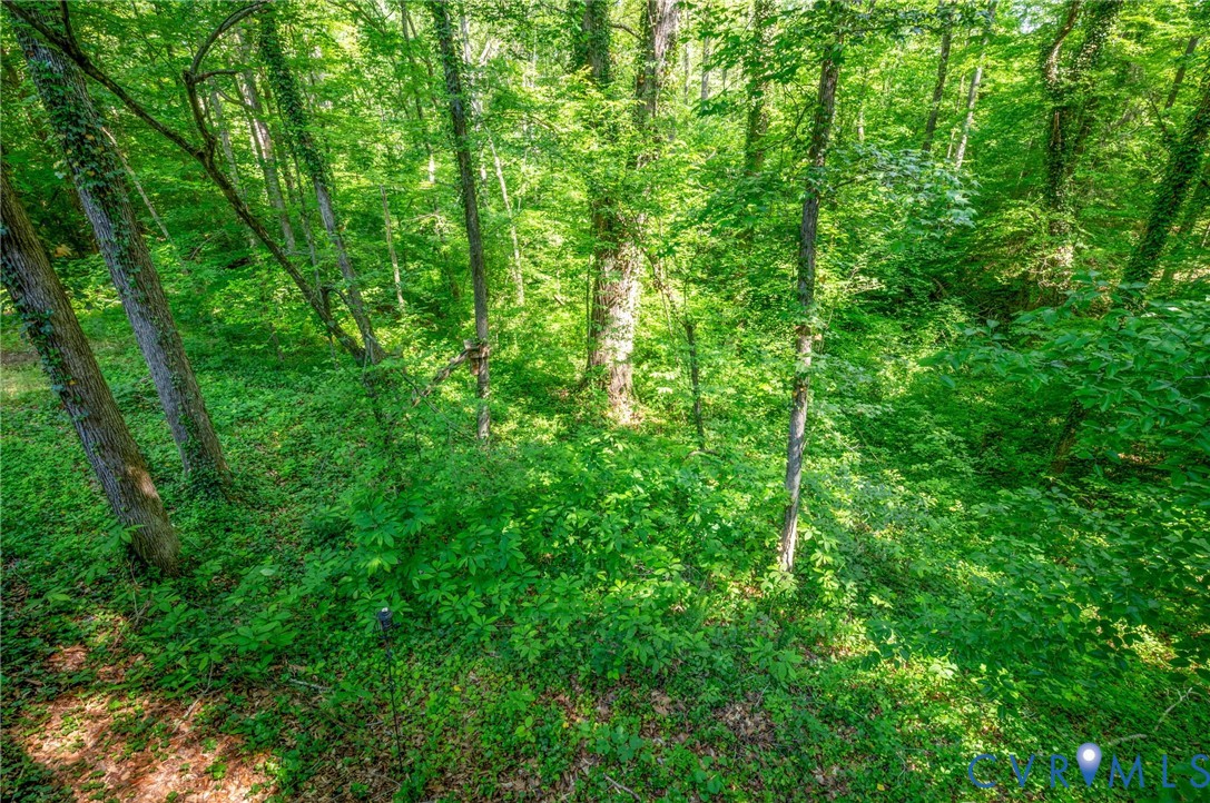 18287 Shiloh Church Road Beaverdam, VA 23015 - Photo 6 of 34