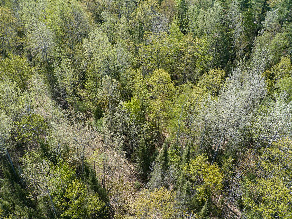 Off Sunset Road Eagle River, WI 54521 - Photo 18 of 33 Gallery Image 18