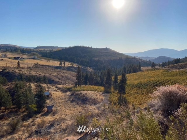 1180 Kinsey Road Manson, WA 98831 - Photo 8 of 9 Gallery Image 8