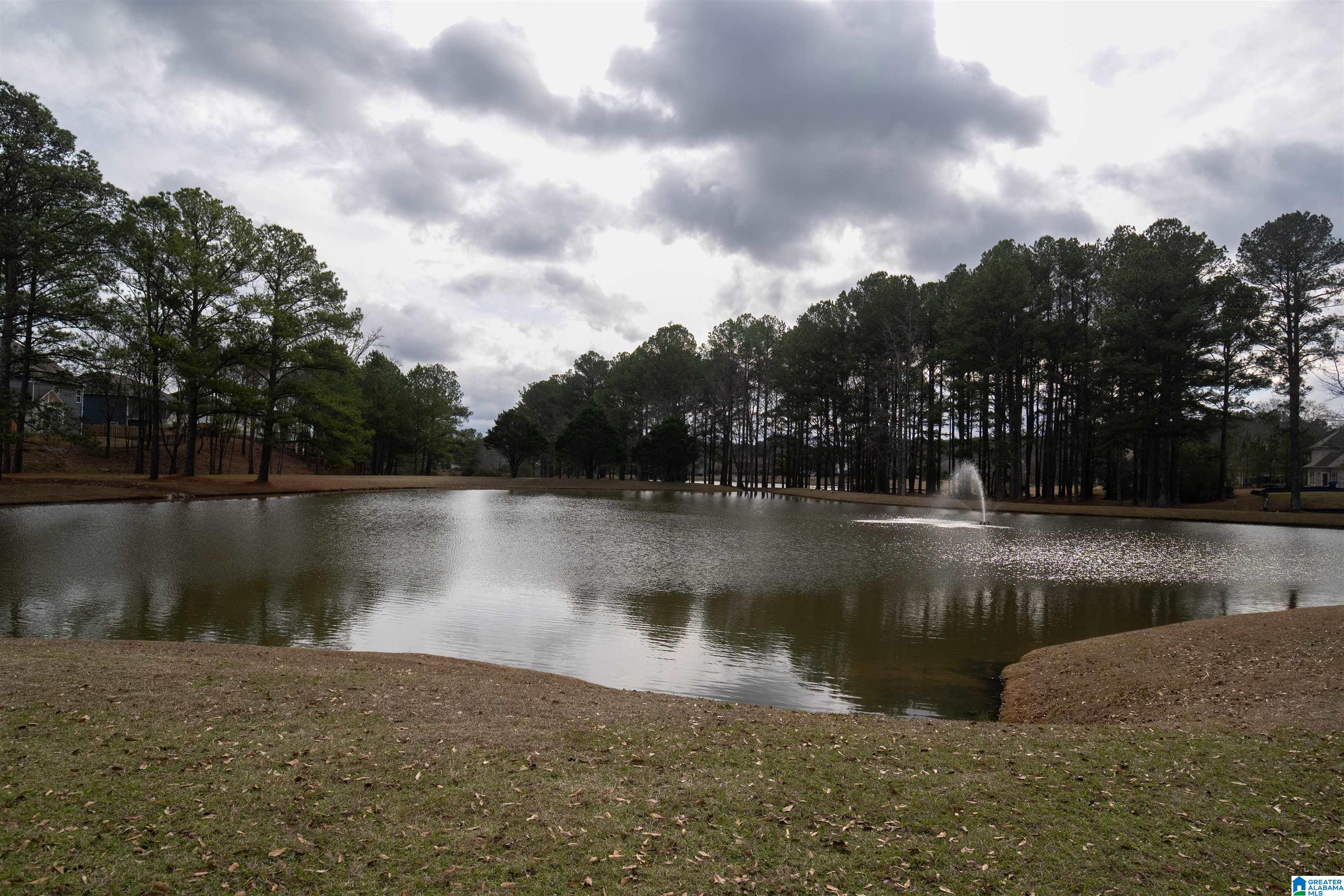 108 Shiraz Street Alabaster, AL 35007 - Photo 26 of 27