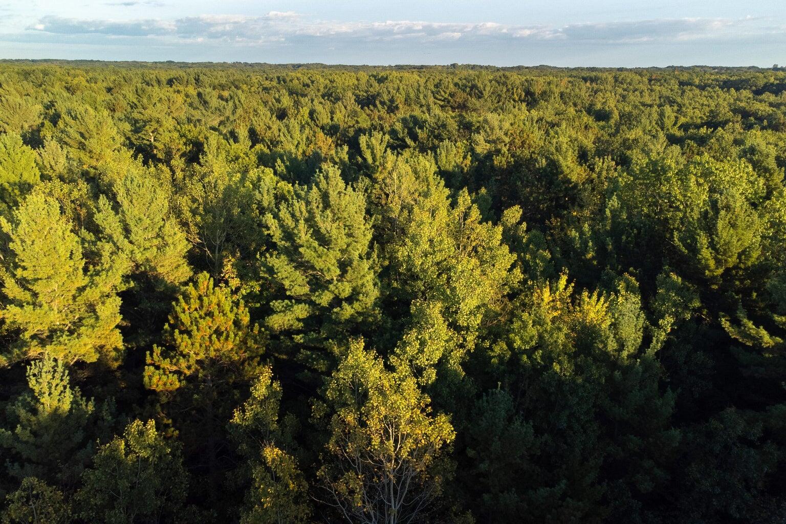 North Wildwood Road Manistee, MI 49660 - Photo 12 of 15 20250402161429638700000000-o