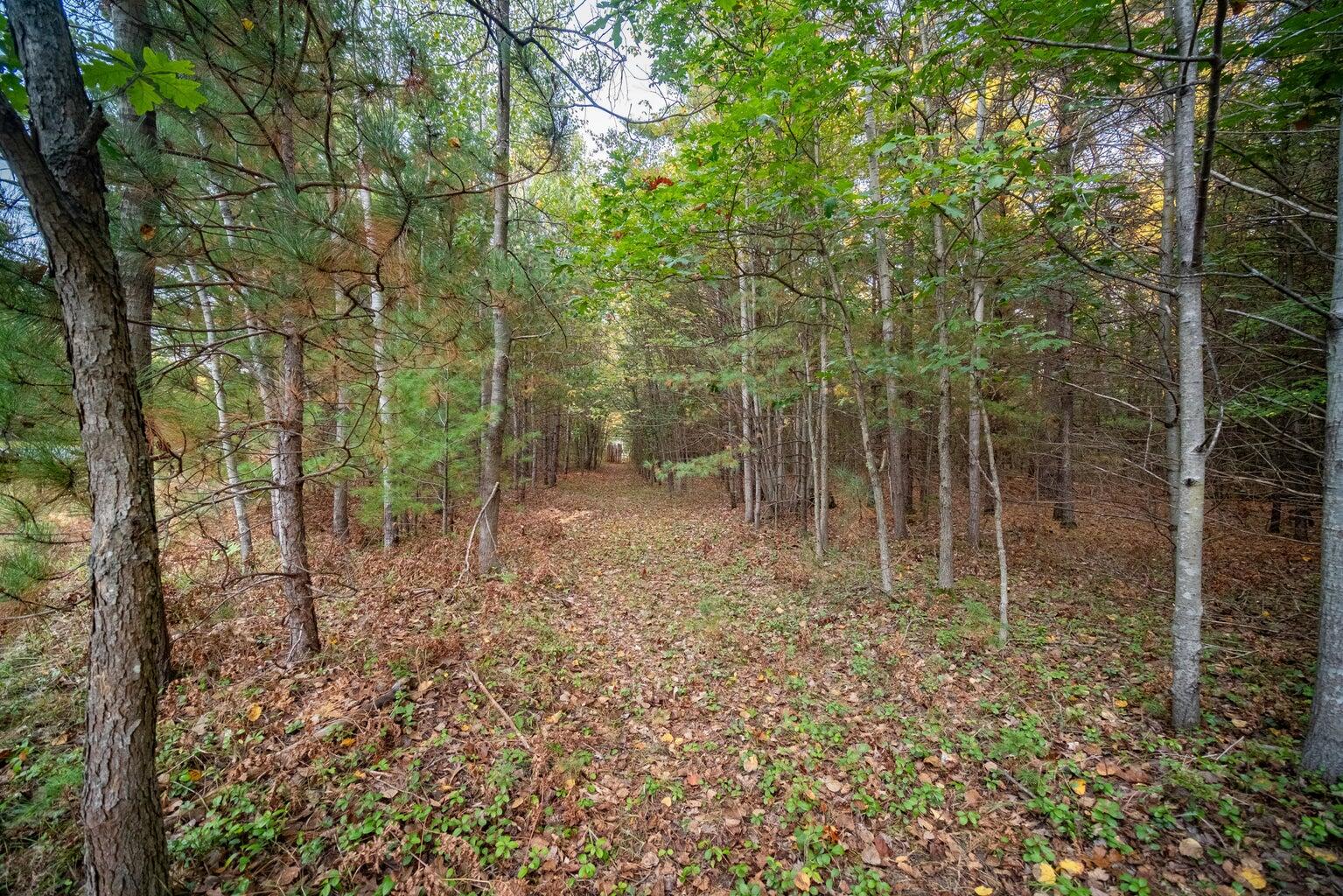 North Wildwood Road Manistee, MI 49660 - Photo 13 of 15 20250402161429953476000000-o