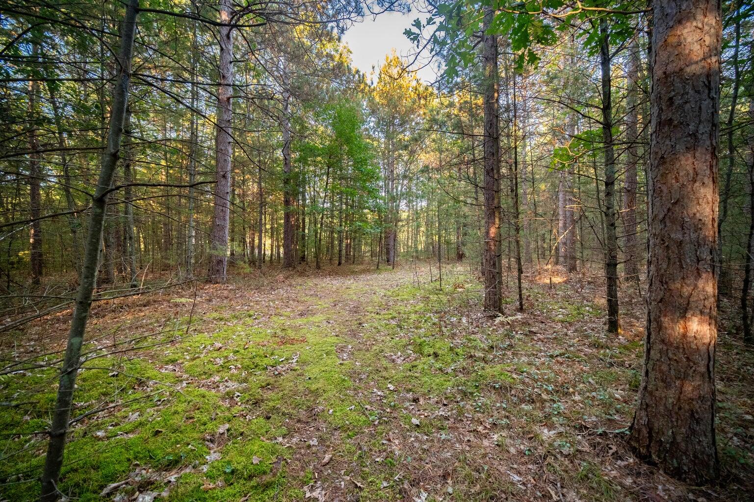 North Wildwood Road Manistee, MI 49660 - Photo 2 of 15 20250402161428249071000000-o