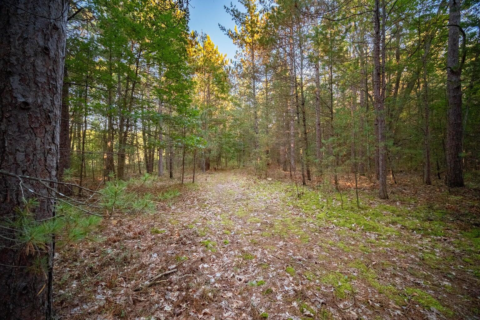 North Wildwood Road Manistee, MI 49660 - Photo 3 of 15 20250402161428466515000000-o