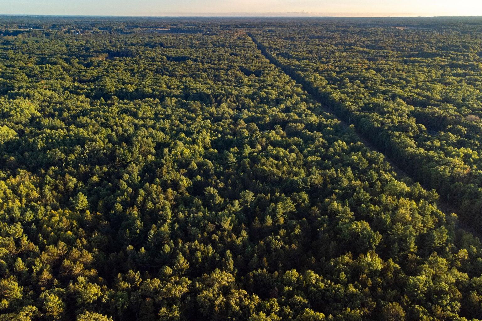 North Wildwood Road Manistee, MI 49660 - Photo 4 of 15 20250402161428652770000000-o