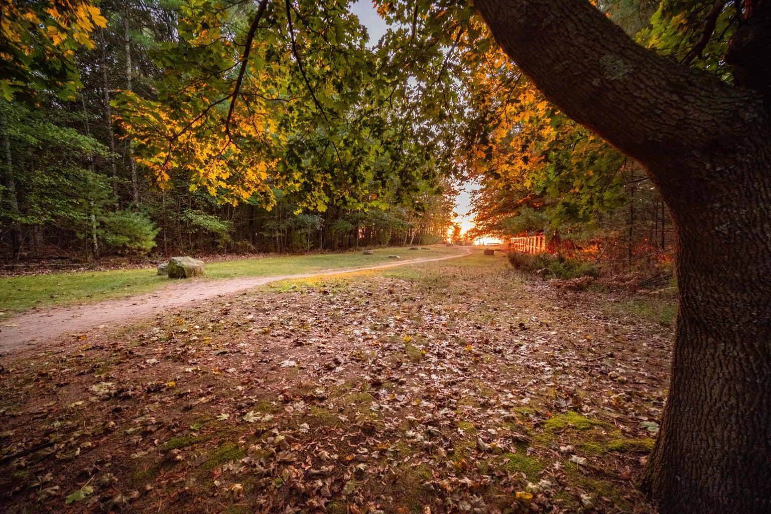 North Wildwood Road Manistee, MI 49660 - Photo 10 of 15 20250402161429404435000000-o