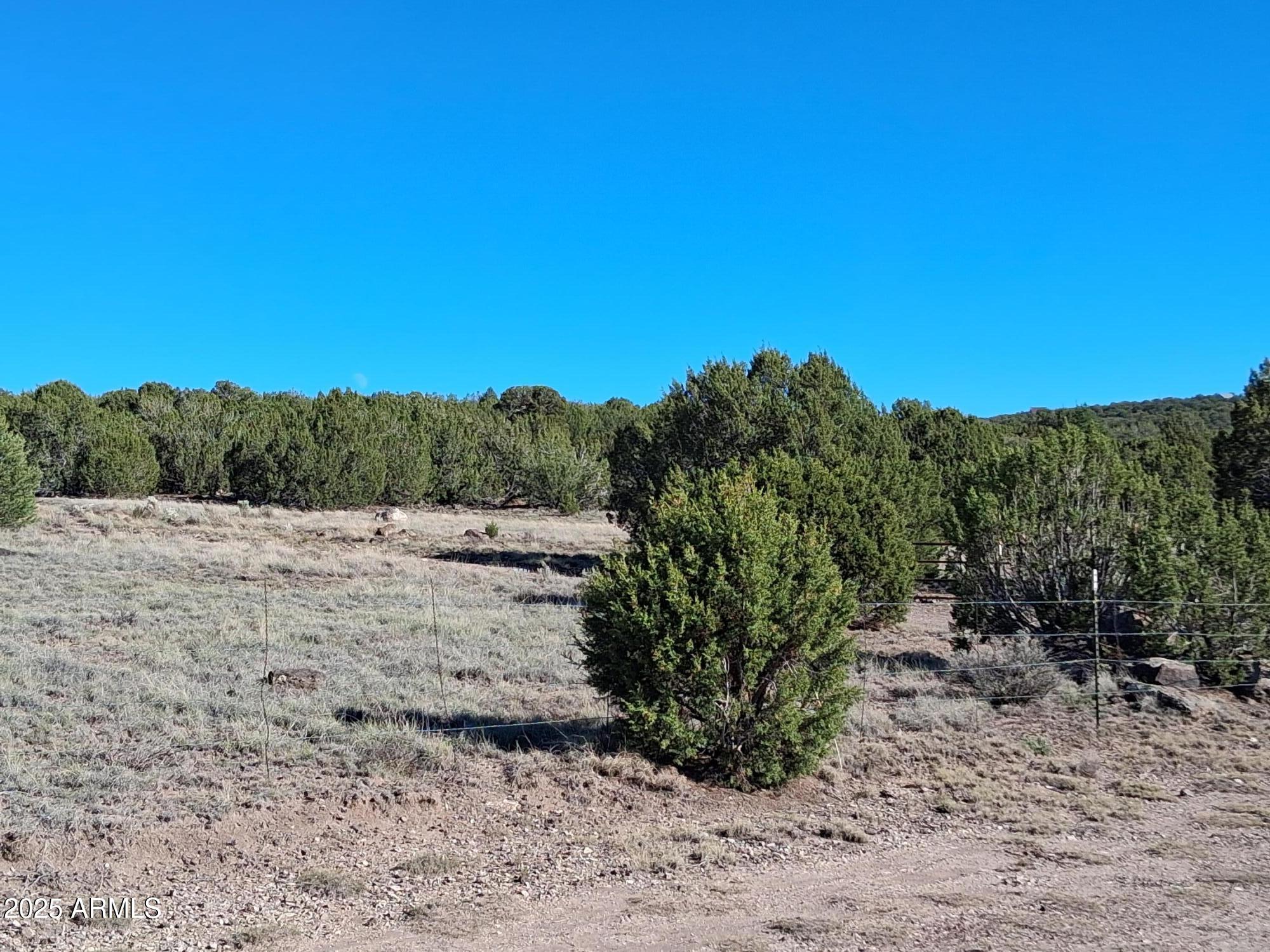 28 County Road Concho, AZ 85924 - Photo 11 of 29 a view of a dry yard with trees in the background