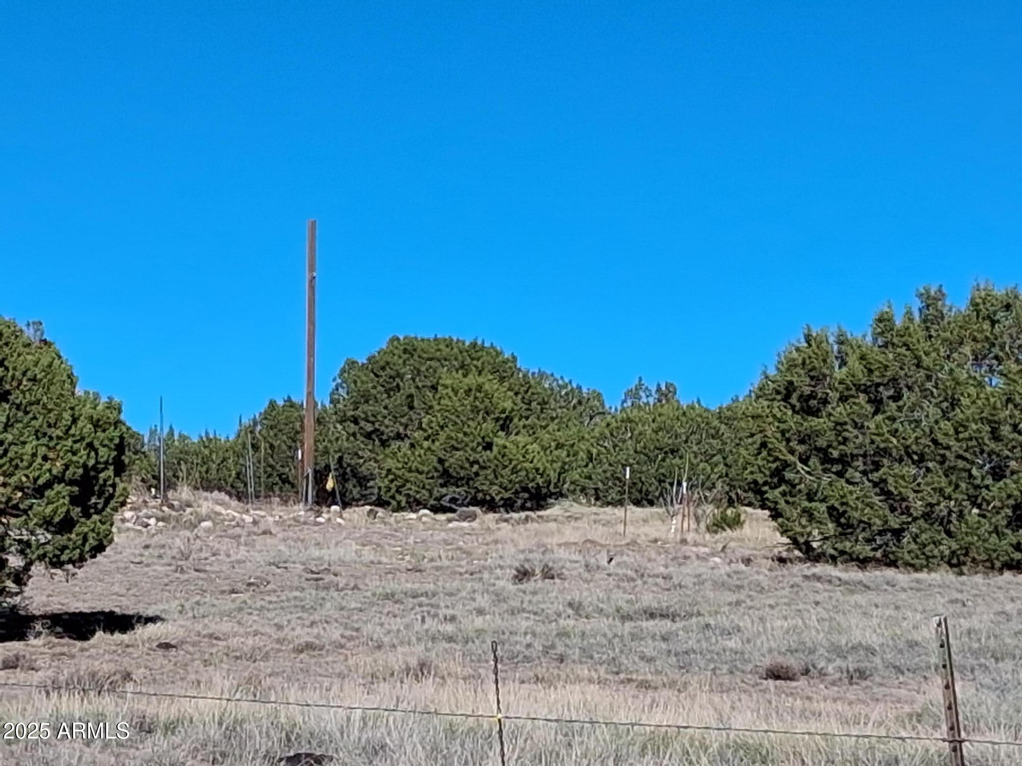 28 County Road Concho, AZ 85924 - Photo 12 of 29 a view of a dry yard with trees in the background
