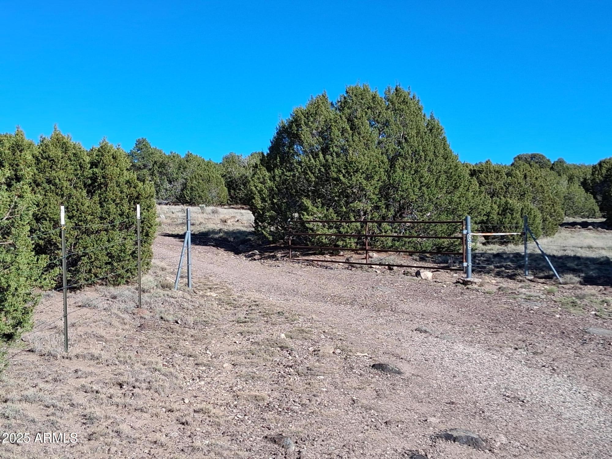 28 County Road Concho, AZ 85924 - Photo 13 of 29 a view of outdoor space with seating area