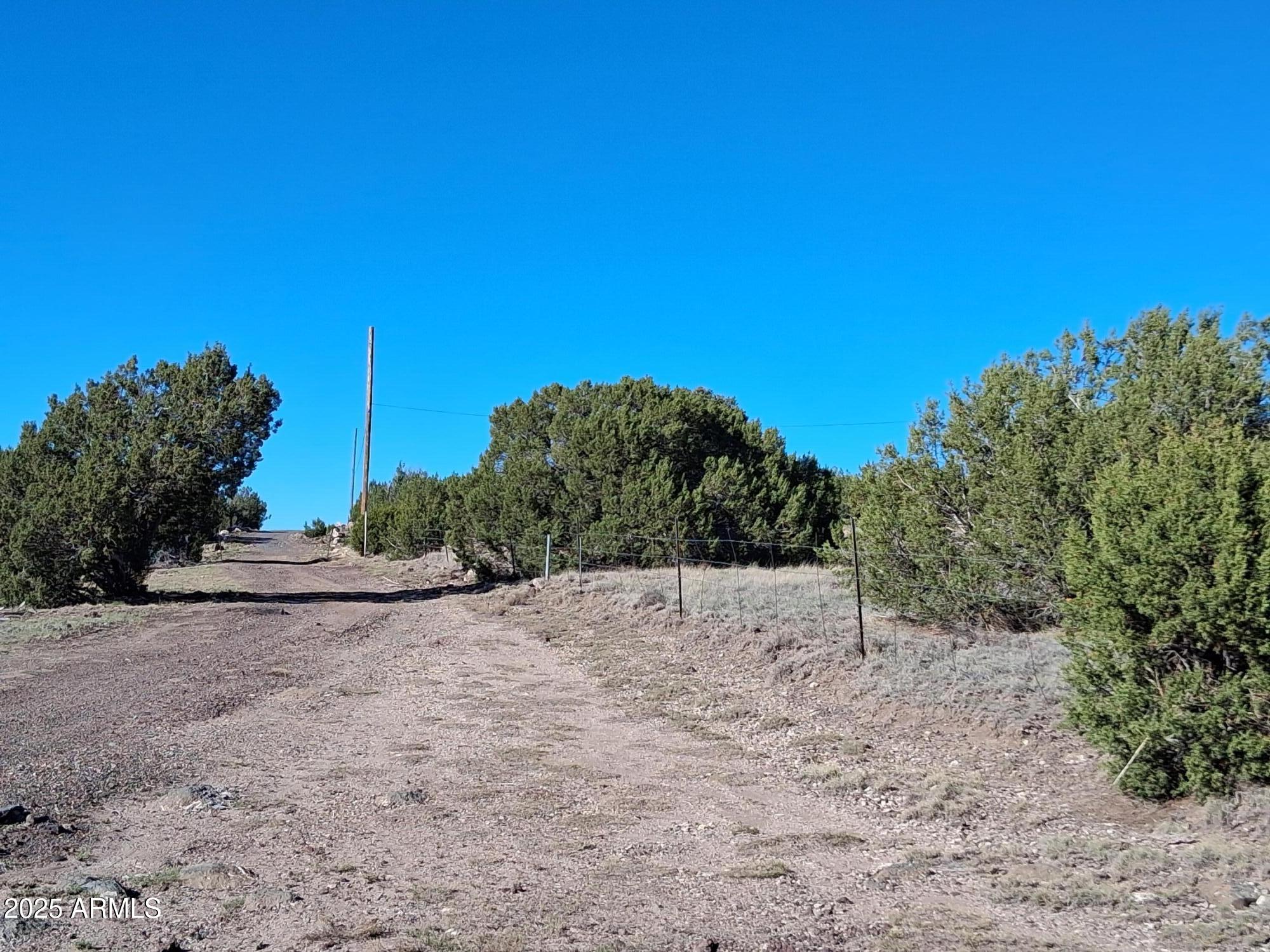 28 County Road Concho, AZ 85924 - Photo 14 of 29 a backyard of a house with lots of green space