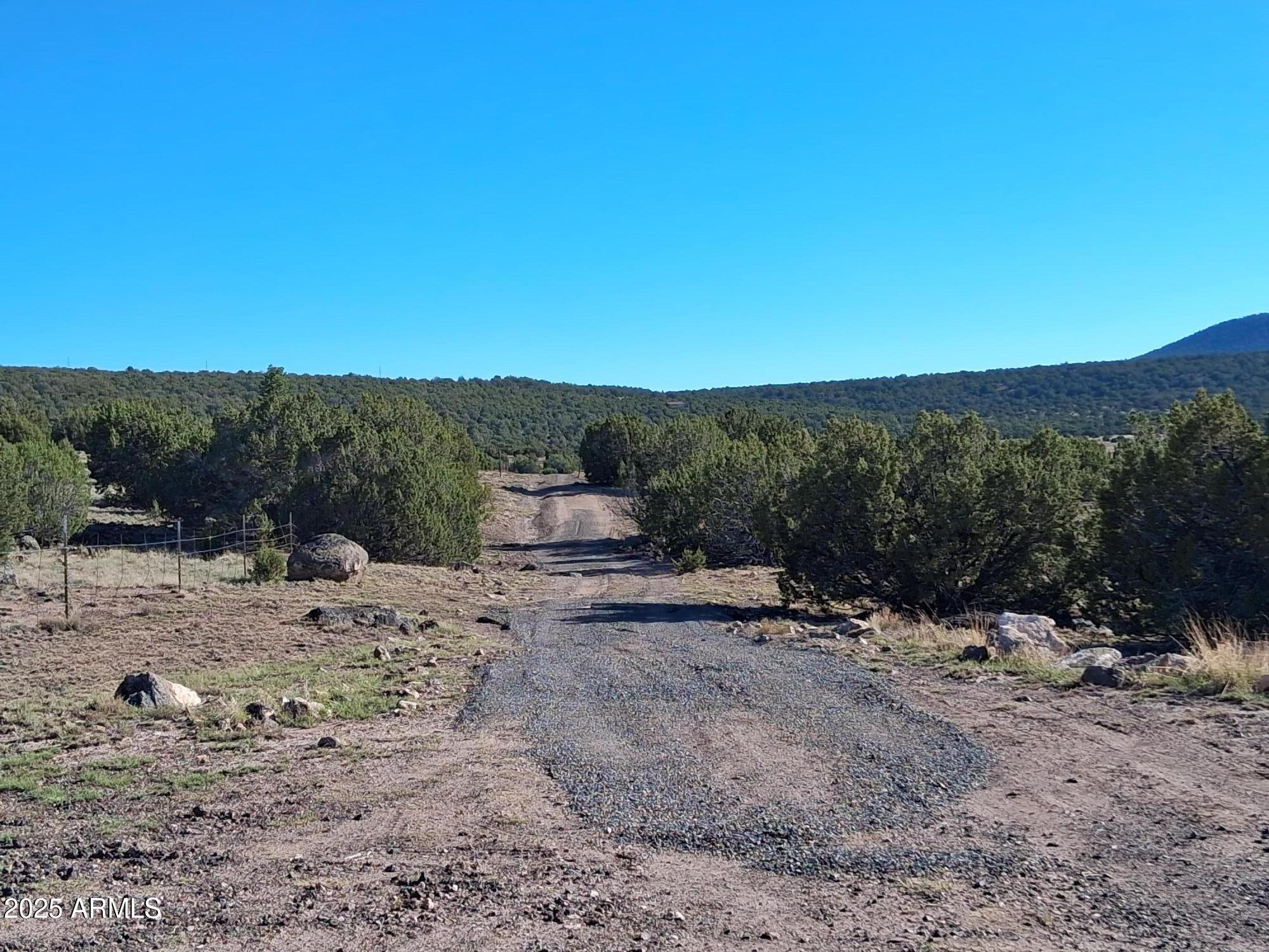 28 County Road Concho, AZ 85924 - Photo 20 of 29 a view of a dry yard with trees