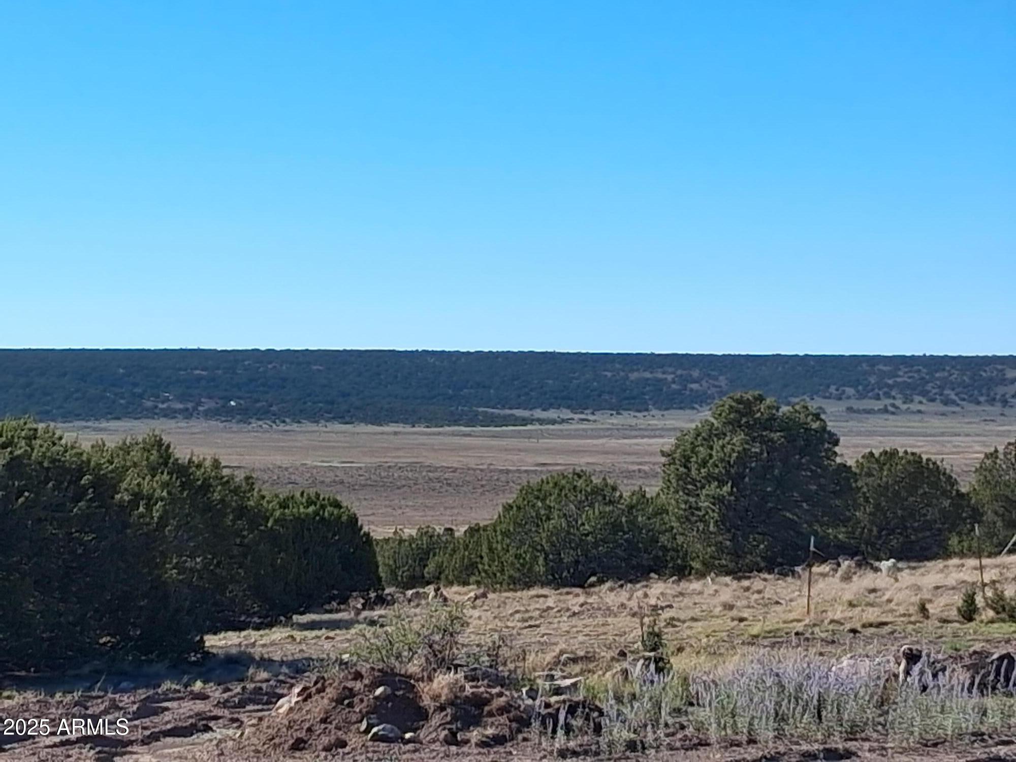 28 County Road Concho, AZ 85924 - Photo 21 of 29 a view of a lake and mountain in the back