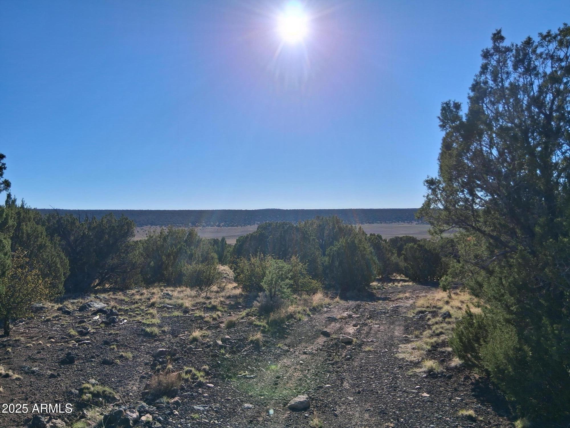 28 County Road Concho, AZ 85924 - Photo 27 of 29 a view of a yard
