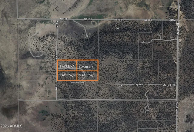 a view of a dry yard with trees