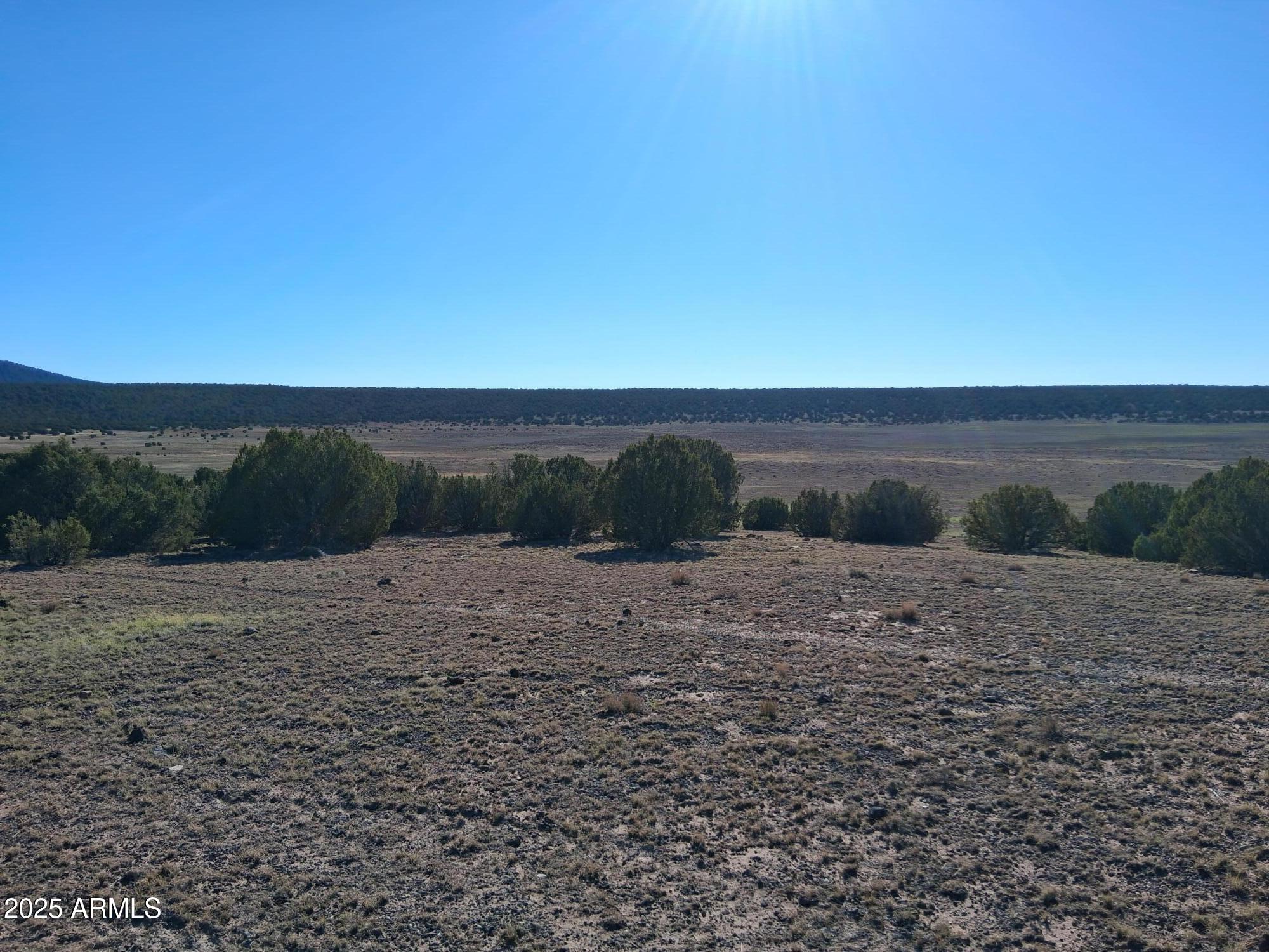 28 County Road Concho, AZ 85924 - Photo 9 of 29 a view of dirt road with a building in the background
