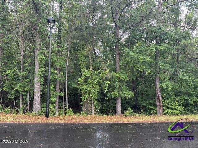 176 Waters Pointe Lizella, GA 31052 - Photo 5 of 13 wp4