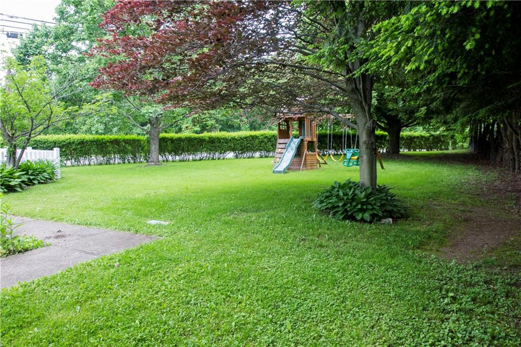 146 Shafer Road Coraopolis, PA 15108 - Photo 24 of 25 Private yard with the bushes out front and hemlocks in the back.