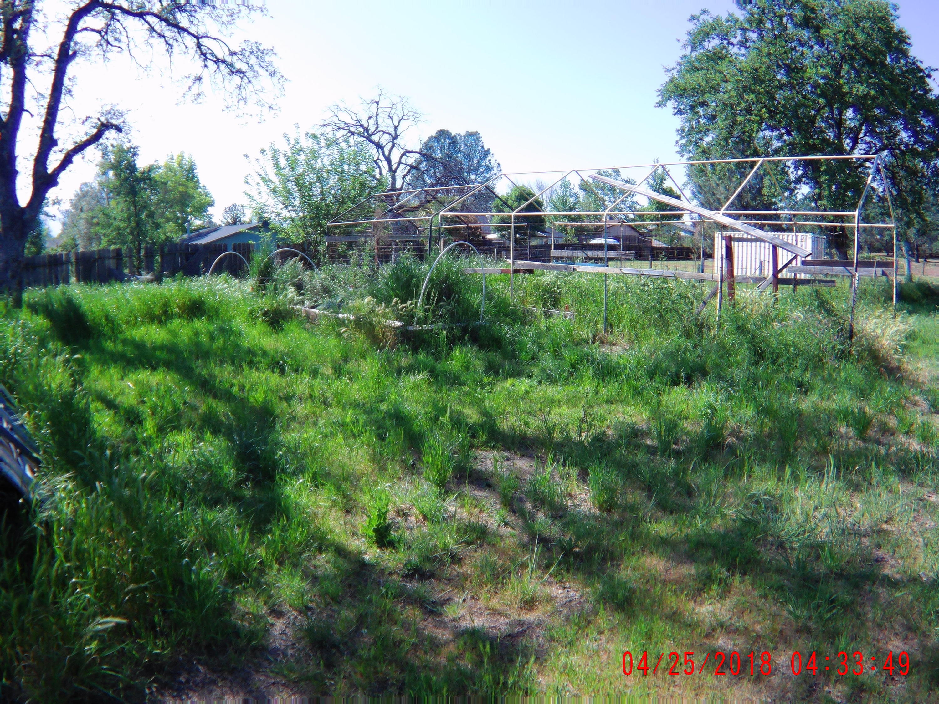 1230 Lema Road Redding, CA 96003 - Photo 15 of 15 2018_0425_043350_017