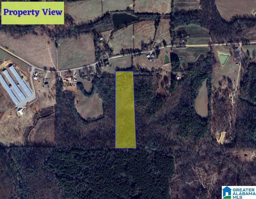 0 Welcome Home Church Road, Unit 1 Horton, AL 35980 - Photo 7 of 10