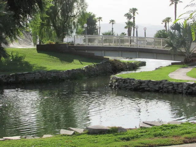 a view of a lake with a yard and large trees