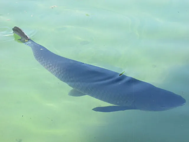 a view of a big yard with an empty space
