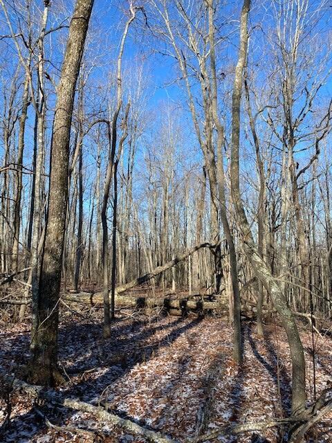 142 Cole Road Deer Lodge, TN 37726 - Photo 77 of 77 20220322195806001333000000-o