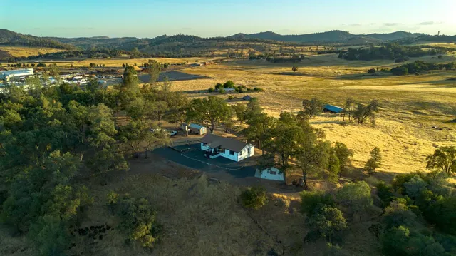 a view of a city with lush green forest