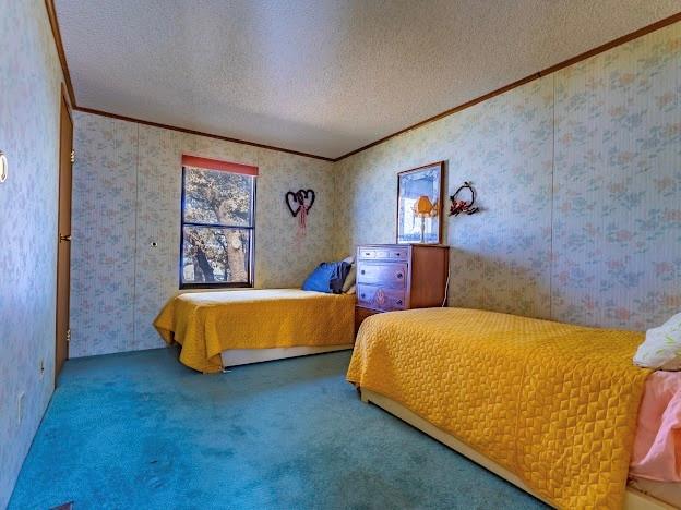 1935 Deer Trail Road Graford, TX 76449 - Photo 17 of 36 Guest Bed 2