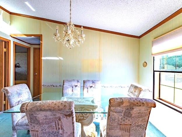 1935 Deer Trail Road Graford, TX 76449 - Photo 9 of 36