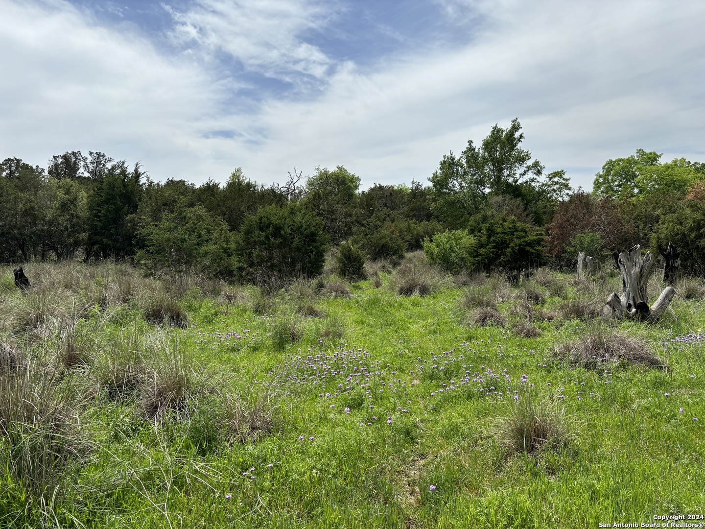 4.31-acres Walnut Grove Road Boerne, TX 78006 - Photo 2 of 9