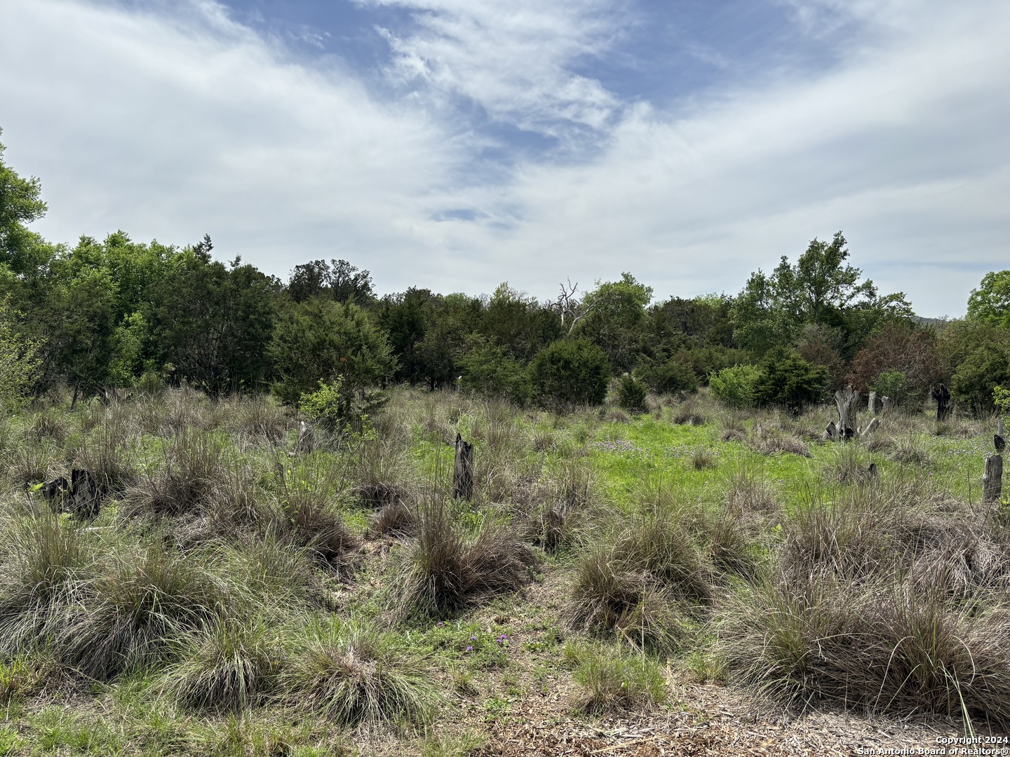 4.31-acres Walnut Grove Road Boerne, TX 78006 - Photo 4 of 9