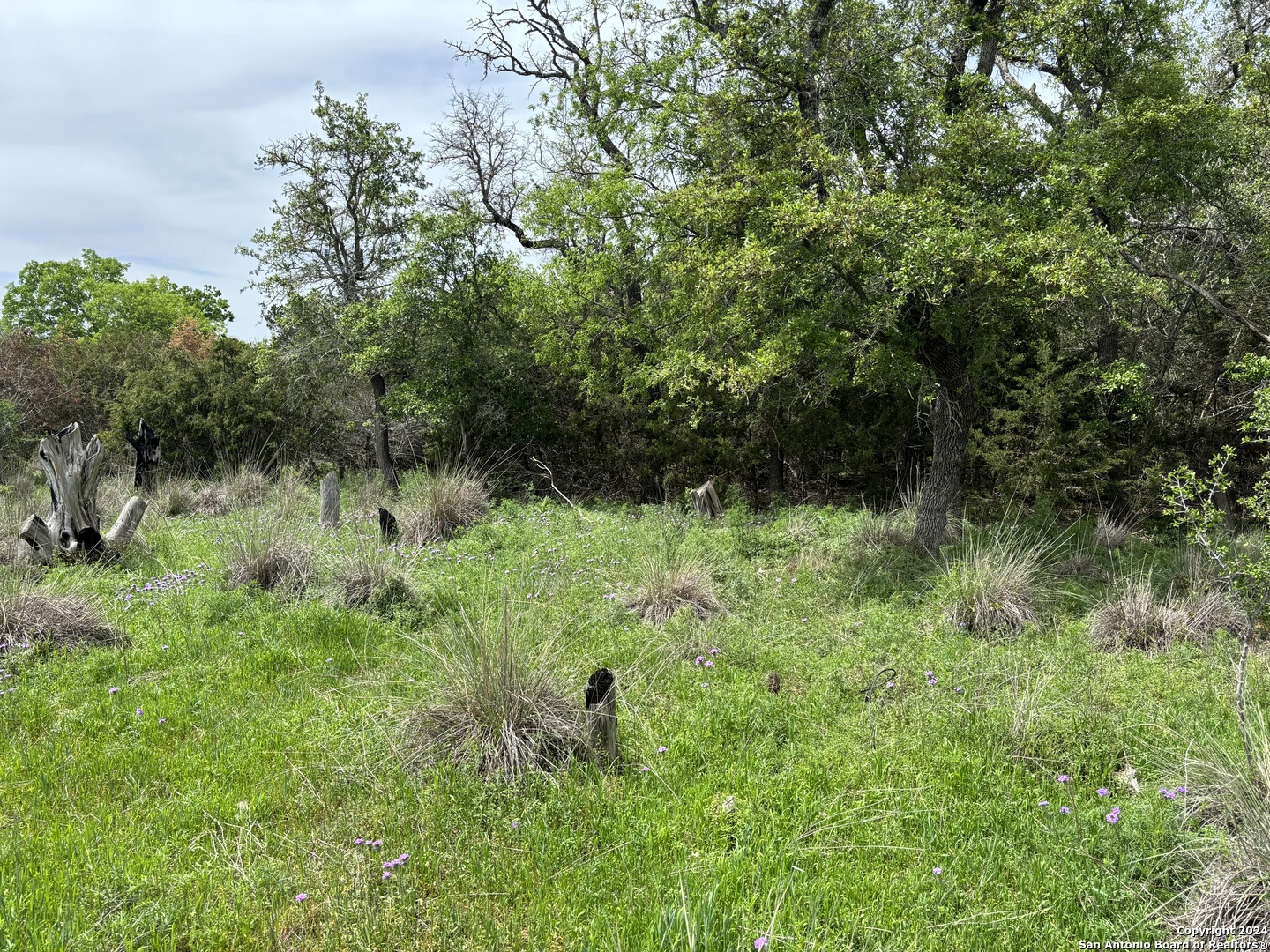 4.31-acres Walnut Grove Road Boerne, TX 78006 - Photo 5 of 9