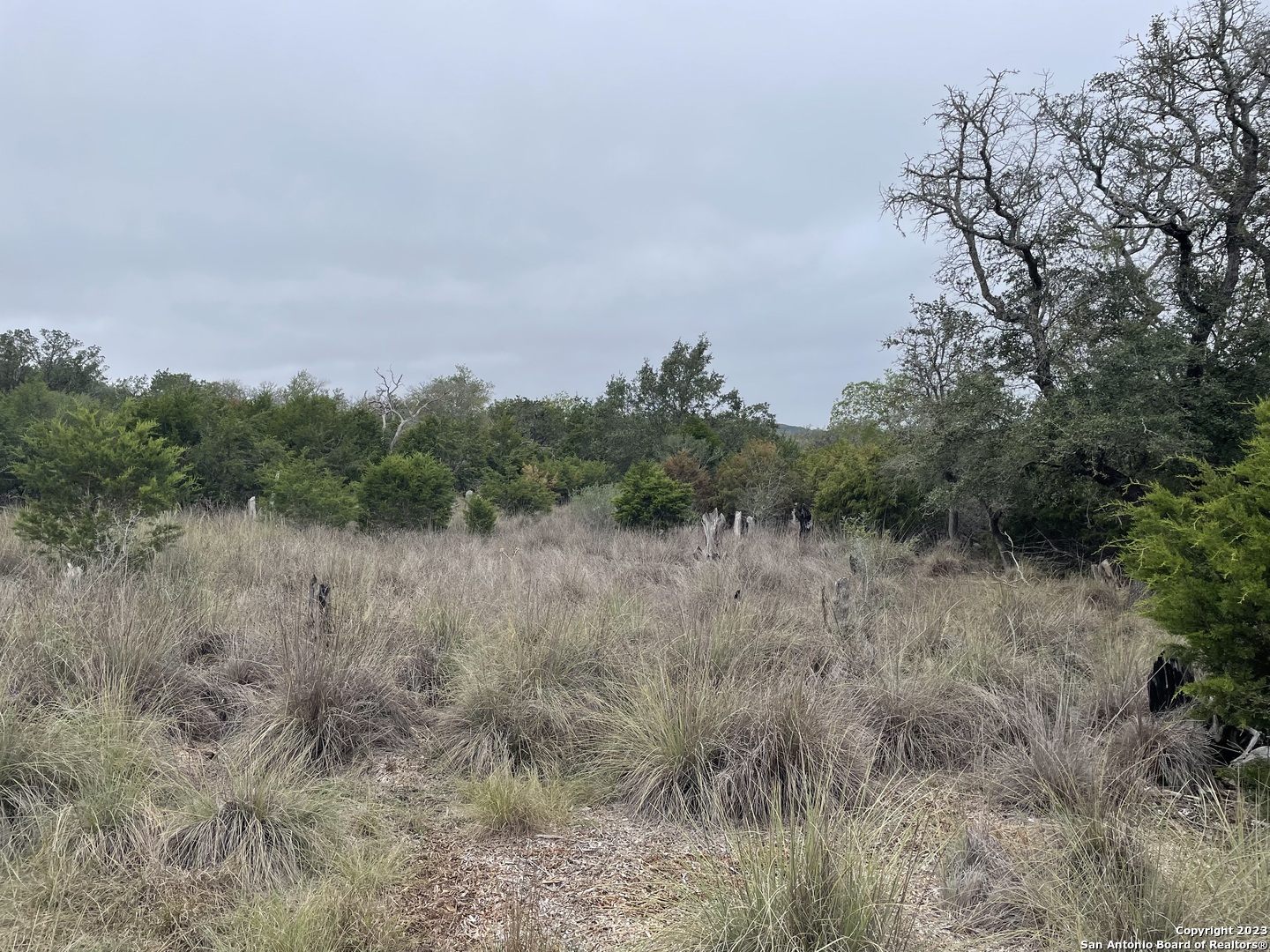 4.31-acres Walnut Grove Road Boerne, TX 78006 - Photo 8 of 9