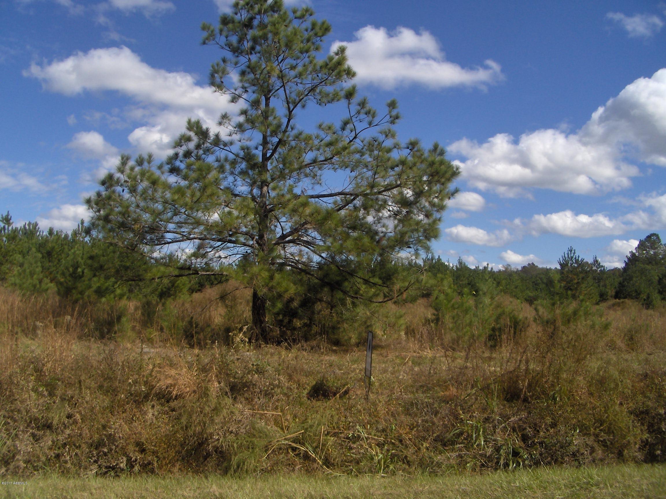 3200 Cal Pen Bay Road Pineland, SC 29934 - Photo 1 of 7 HPIM6734