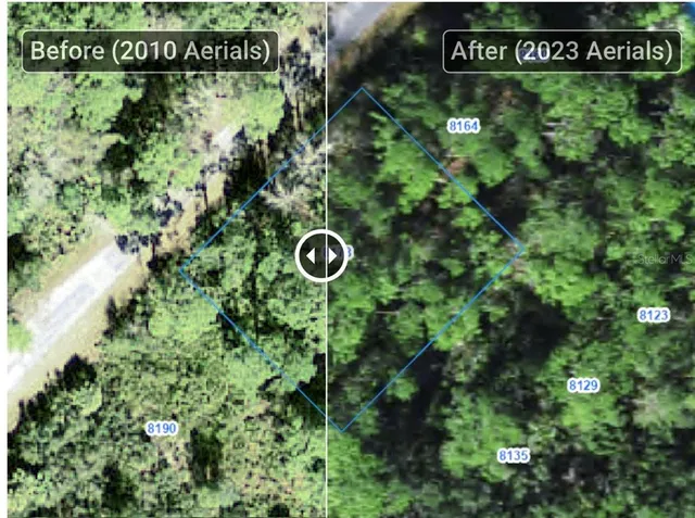 a view of a forest that has a sign on it