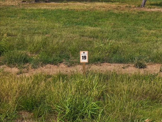 a view of a back yard