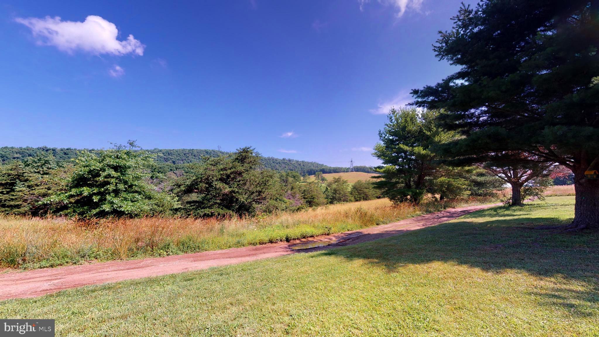 4038 Mount Olive Road Rio, WV 26755 - Photo 24 of 80 Some cleared, some woooded