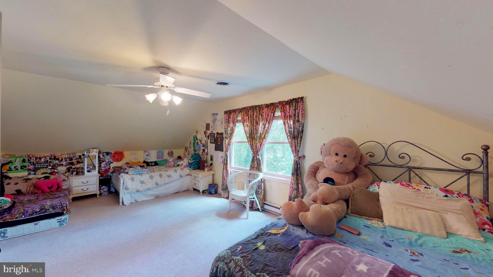 4038 Mount Olive Road Rio, WV 26755 - Photo 43 of 80 Walk-in Closets