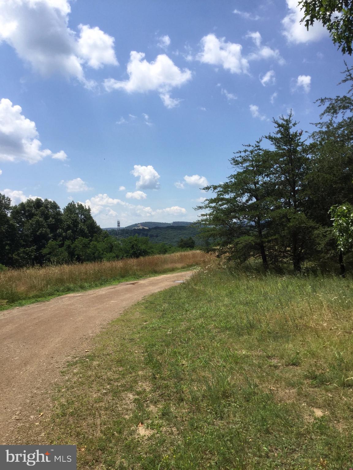 4038 Mount Olive Road Rio, WV 26755 - Photo 48 of 80