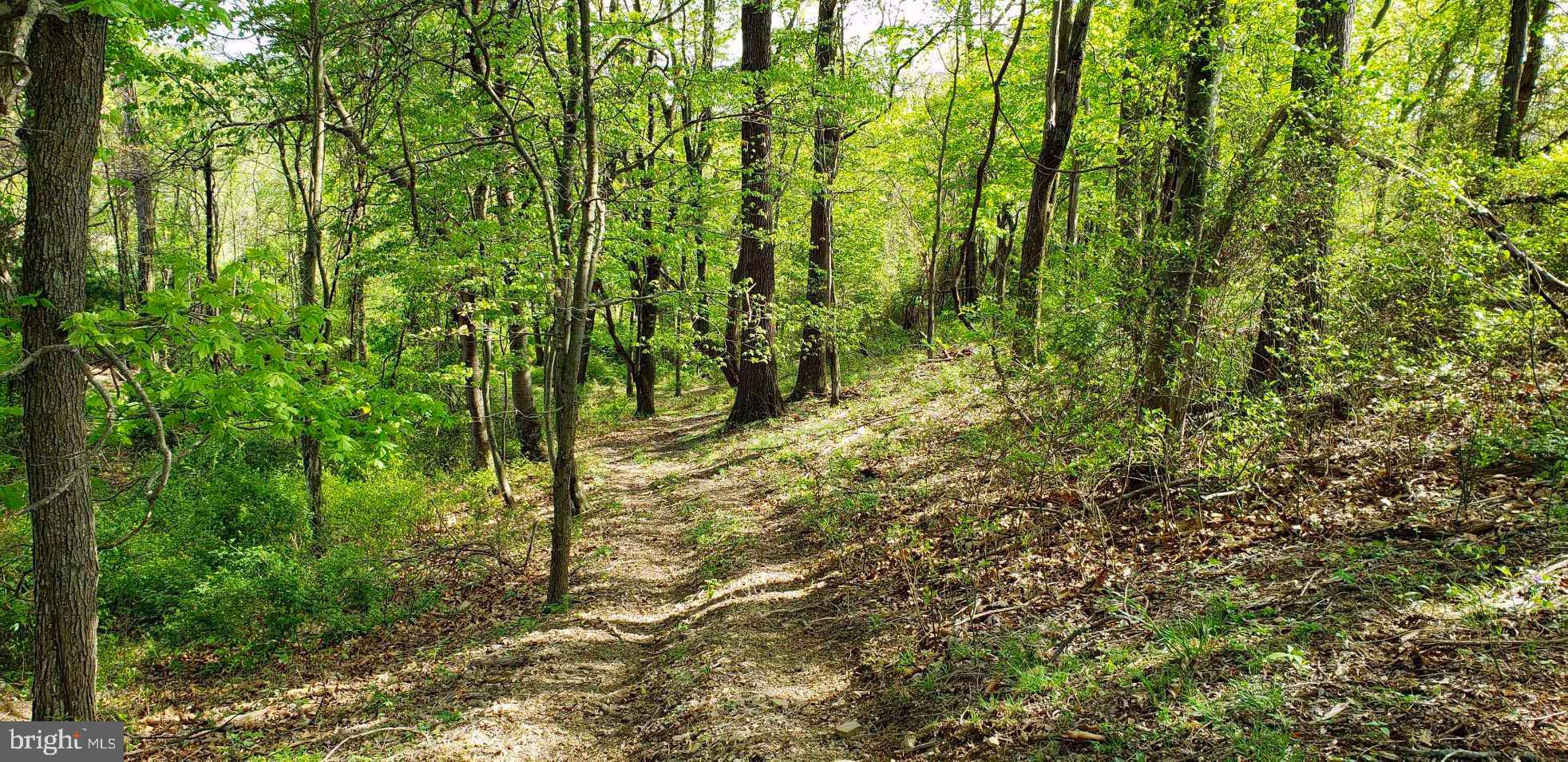 4038 Mount Olive Road Rio, WV 26755 - Photo 56 of 80