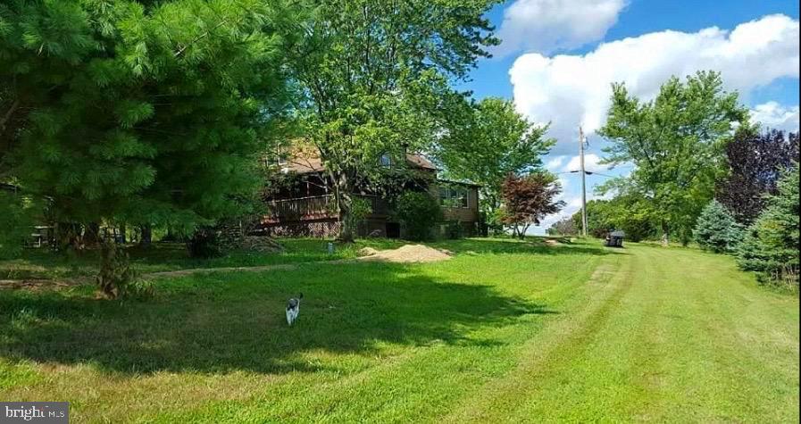 4038 Mount Olive Road Rio, WV 26755 - Photo 60 of 80