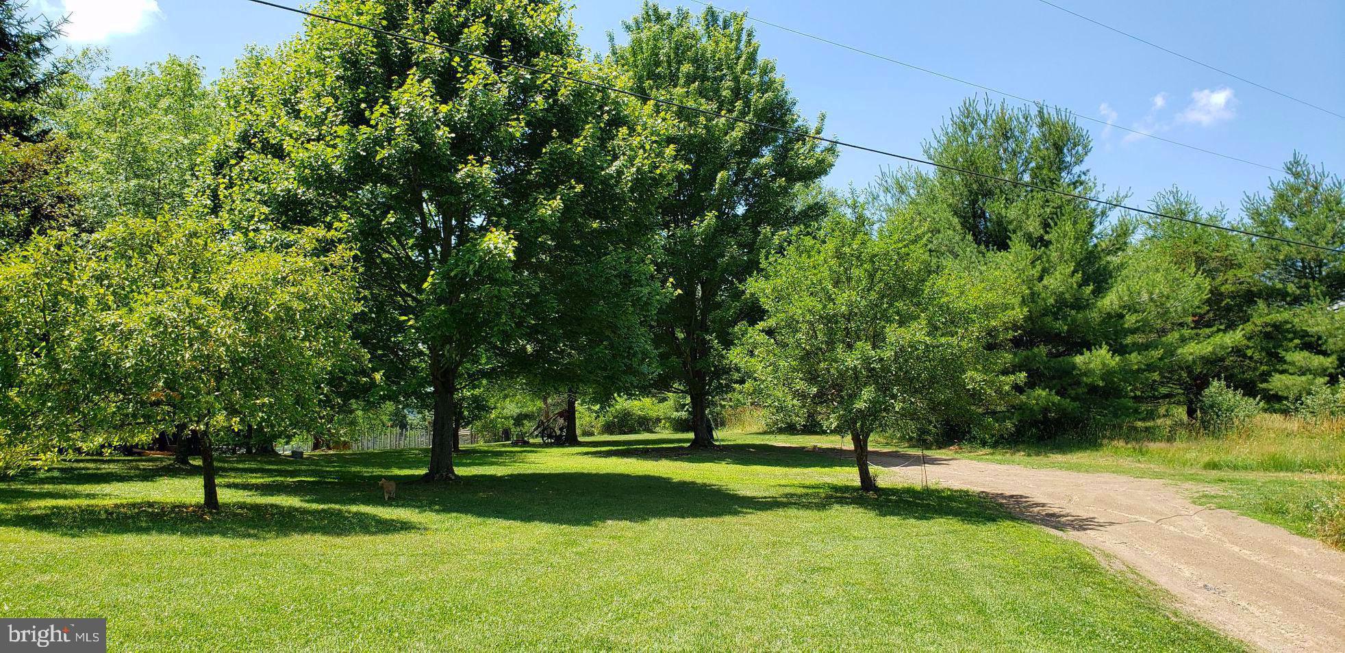 4038 Mount Olive Road Rio, WV 26755 - Photo 63 of 80